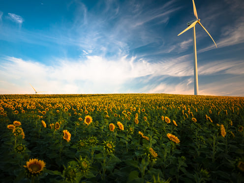 Rencontre avec Sandra, en charge de l'Impact Social et Environnemental