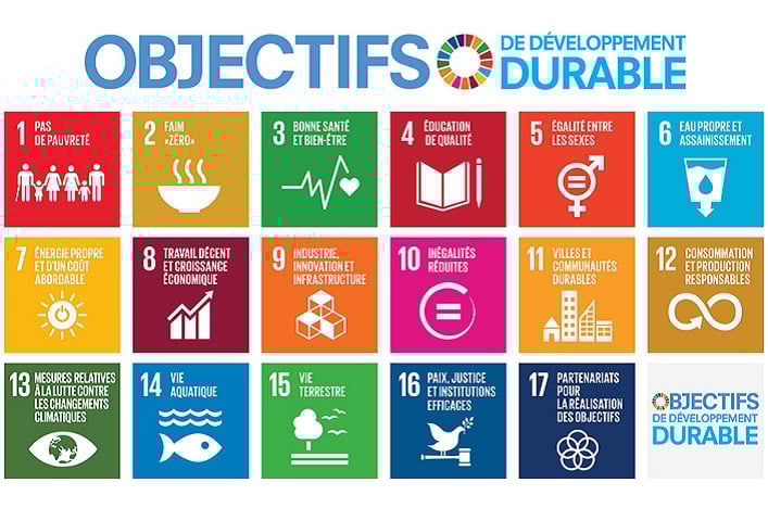 Les objectifs de développement durable des Nations Unies