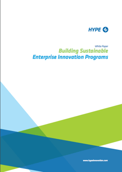 Building Sustainable Enterprise Innovation Programs