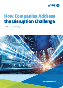 How Companies Address the Disruption Challenge